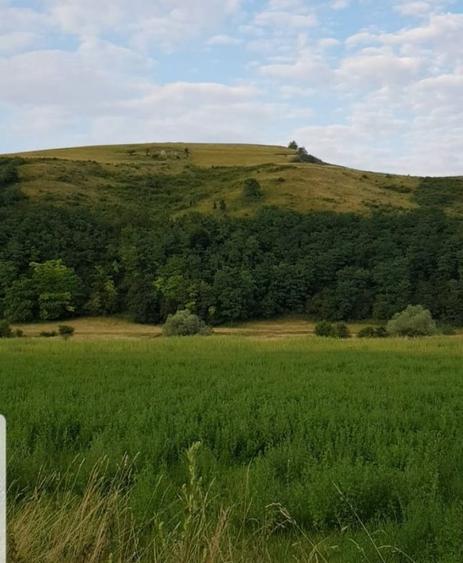 Teren Construcții intravilan de 900 mp, în Luna de Sus