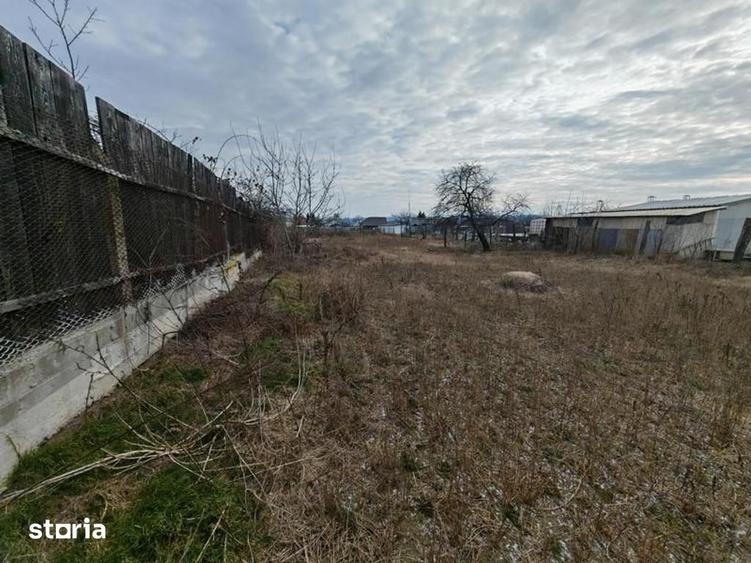 Teren de 1660 mp, în Letea Veche