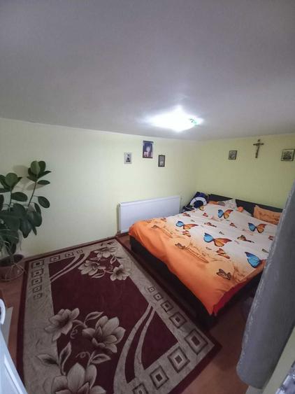 Casa P+1, individuala, curte generoasa, 50 km Bucuresti - 3