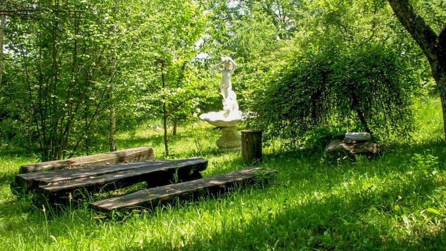 Teren Construcții intravilan de 14000 mp, în Mihai Viteazu