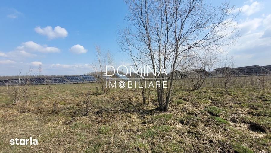 Teren de 978 mp, în Drăguțești