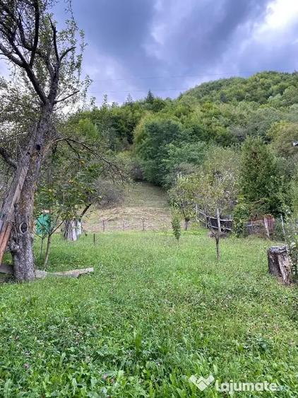 Teren de 1238 mp, în Dodeni