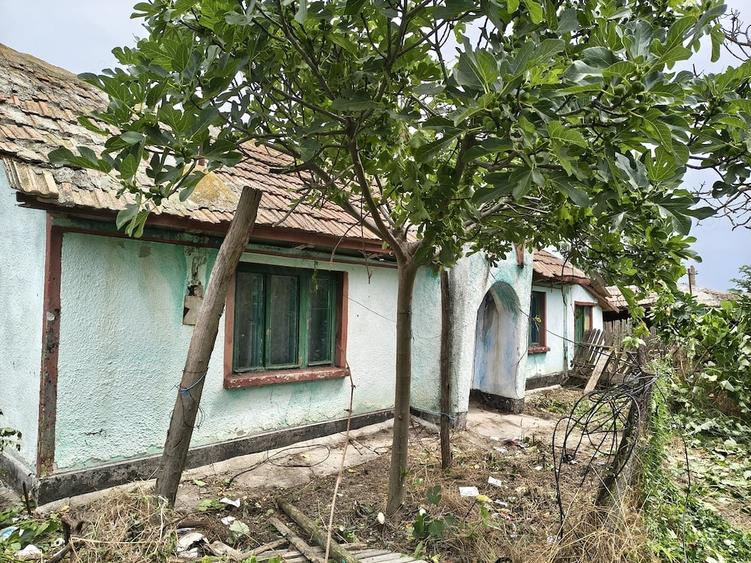 Casă cu Teren 1050 Mp în Pecineaga