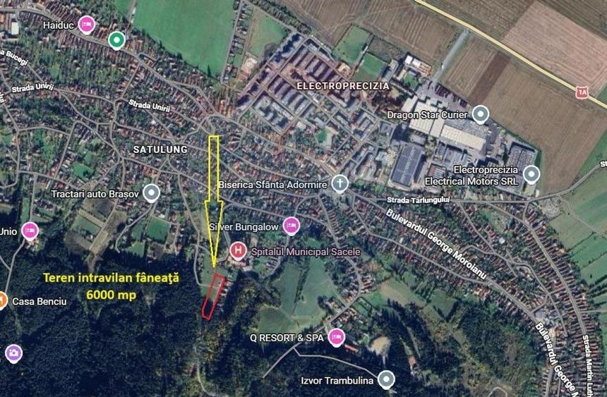 Teren Construcții intravilan de 6000 mp, în Poiana Angelescu