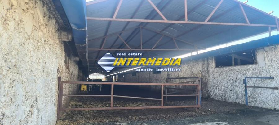 Casă individuală cu 20 camere cu Teren 35000 Mp în Pianu