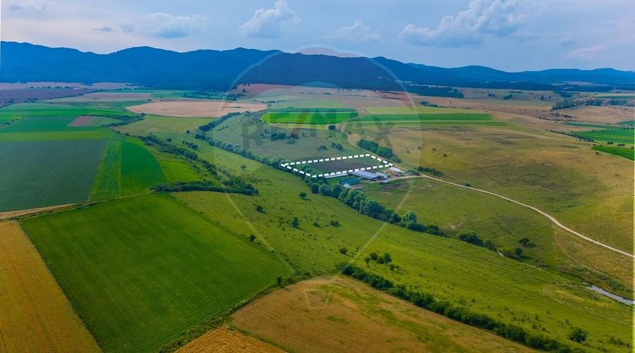 Teren agricol extravilan de 10800 mp, în Rotbav