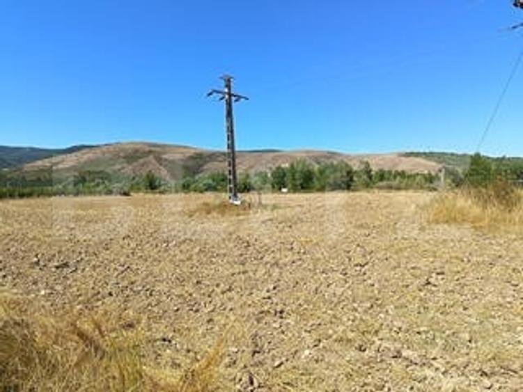 Teren agricol extravilan de 3400 mp, în Cornești