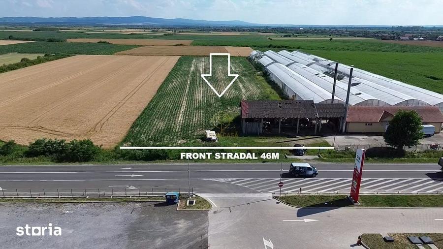 Teren de 9482 mp, în Medieșu Aurit