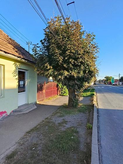 Casă cu Teren 303 Mp în Central