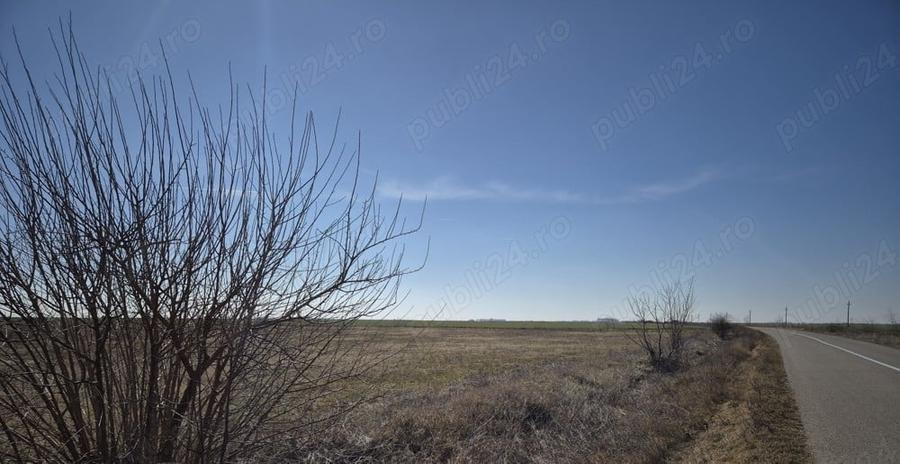 Teren de 36800 mp, în Scutelnici