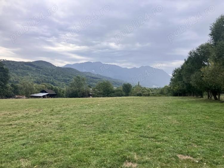 Teren de 3880 mp, în Cheia