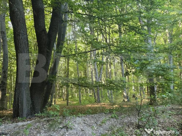 Teren de 524 mp, în Făget
