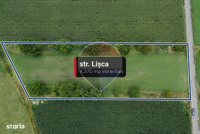 Teren intravilan 4370mp | Turda | Oportunitate de Investitie - 17