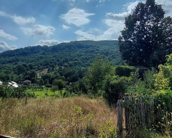 Teren de 1000 mp, în Bunești (Mălureni)