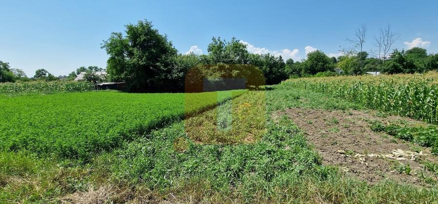 Teren Construcții intravilan de 4133 mp, în Girov