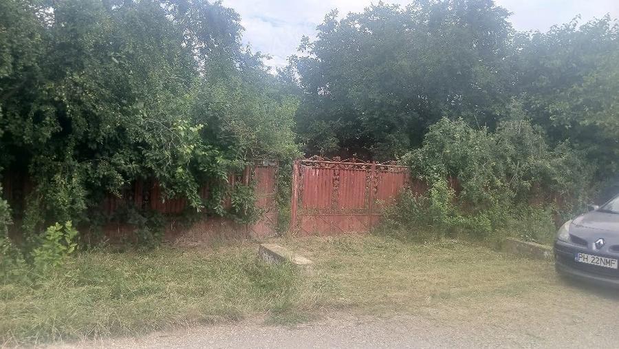 Teren de 1500 mp, în Piorești