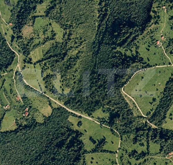 Teren de 30865 mp, în Târsa