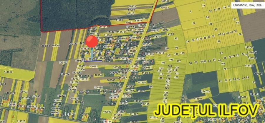 Teren agricol intravilan de 2515 mp, în Tâncăbești