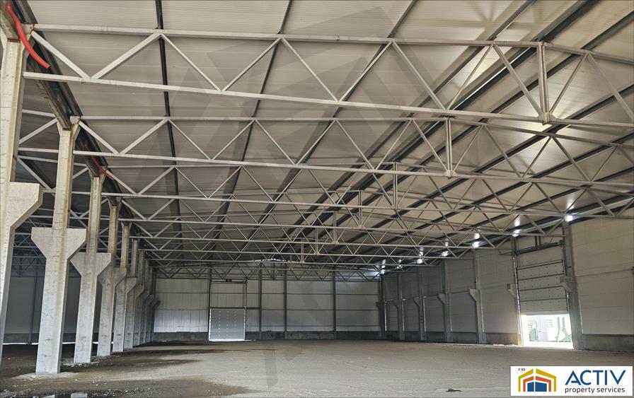 Spațiu industrial, de 4,500 mp, în Vidrasău