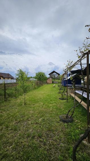 Casă cu Teren 3460 Mp în Pocruia