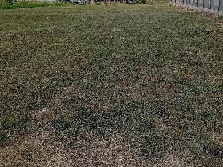 Teren Construcții intravilan de 750 mp, în Rudicica