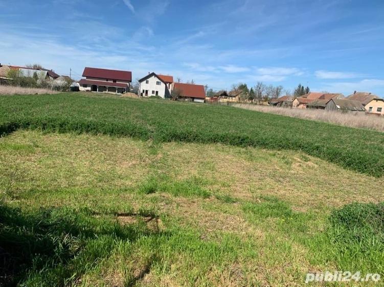 Casă individuală cu 3 camere cu Teren 3500 Mp în Cenei