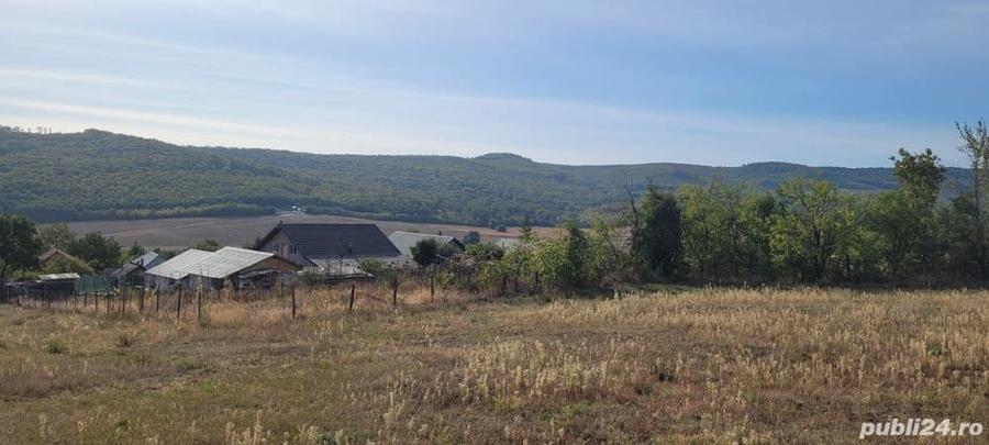 Teren de 11030 mp, în Chițoc