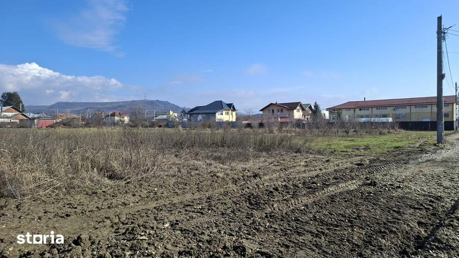 Teren de 3633 mp, în Ștefănești
