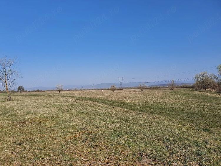 Teren de 4700 mp, în Culcea