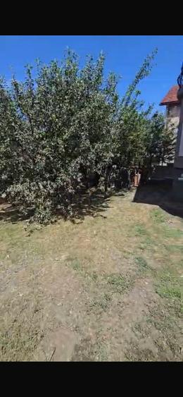 Casă cu 4 camere cu Teren 300 Mp în Sânnicoară
