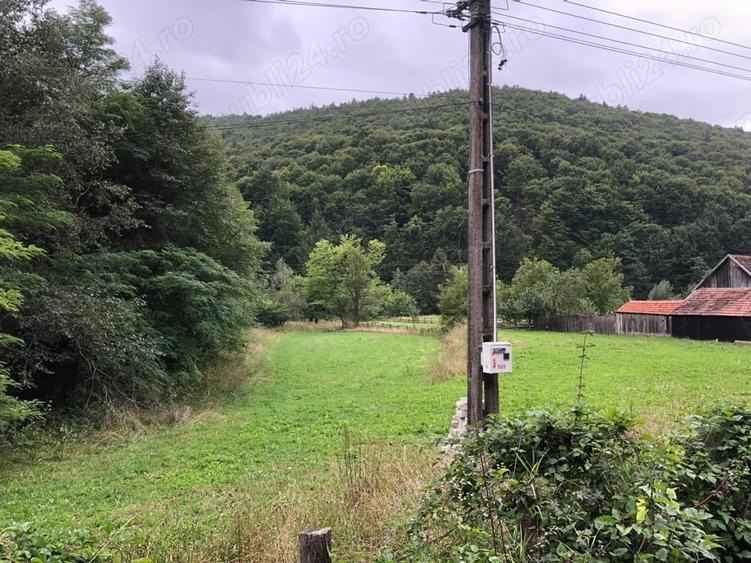 Teren de 4000 mp, în Dobârlău