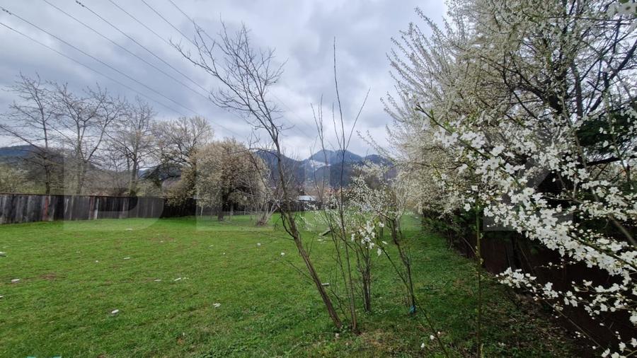 Teren Construcții intravilan de 4300 mp, în Baciu