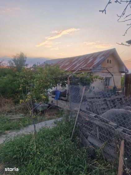 TEREN INTRAVILAN DE VANZARE ROBANE?TI, DOLJ | 5.000 MP - 13