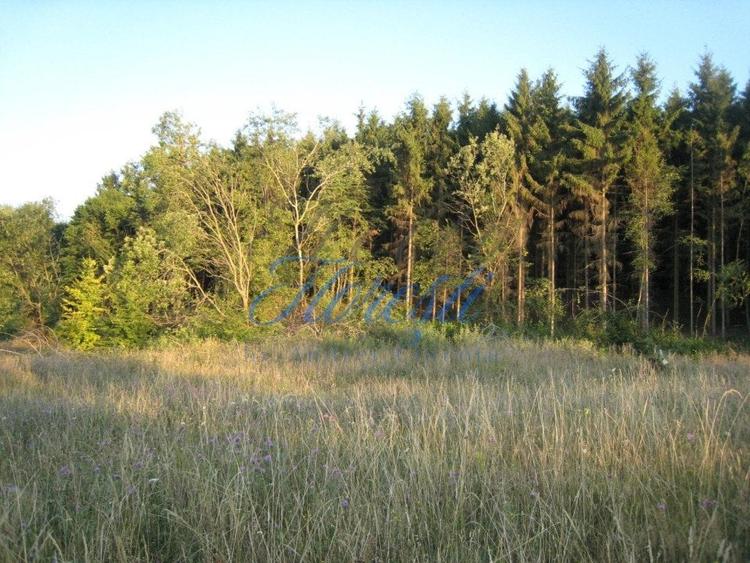 Teren Construcții intravilan de 5700 mp, în Chinteni