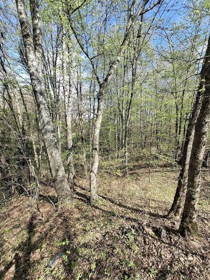Teren de 5000 mp, în Valea Danului