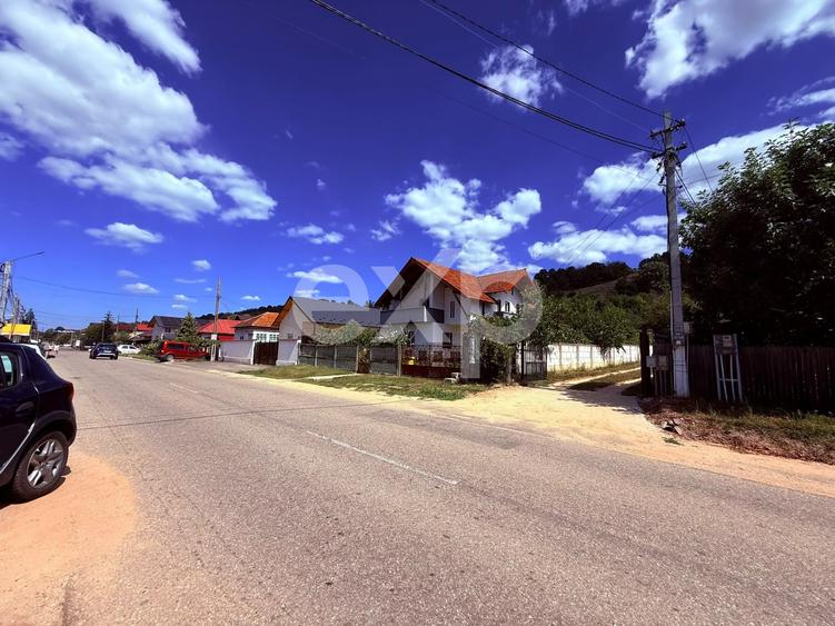 Teren agricol extravilan de 3000 mp, în Budeasa