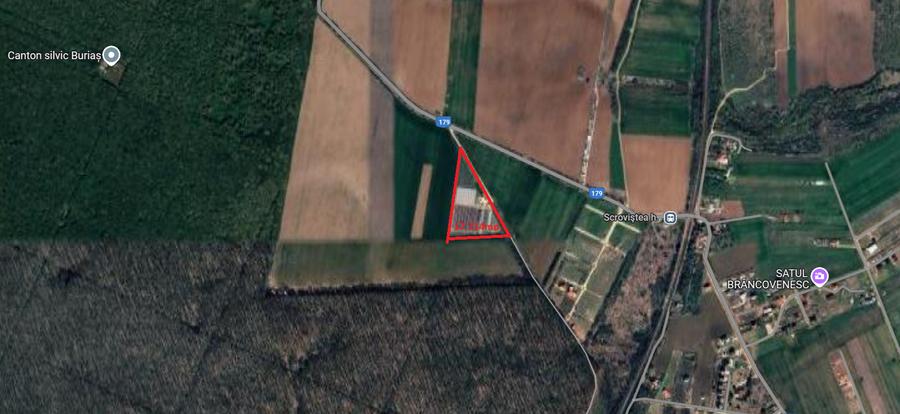 Teren Construcții intravilan de 17714 mp, în Bălteni