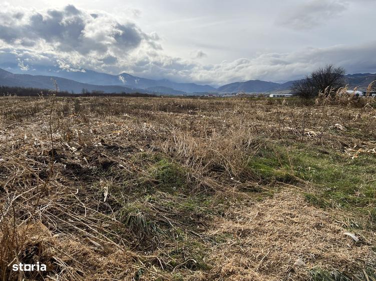 Teren de 7000 mp, în Central