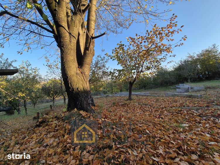 Casă cu 4 camere cu Teren 1500 Mp în Ciurea
