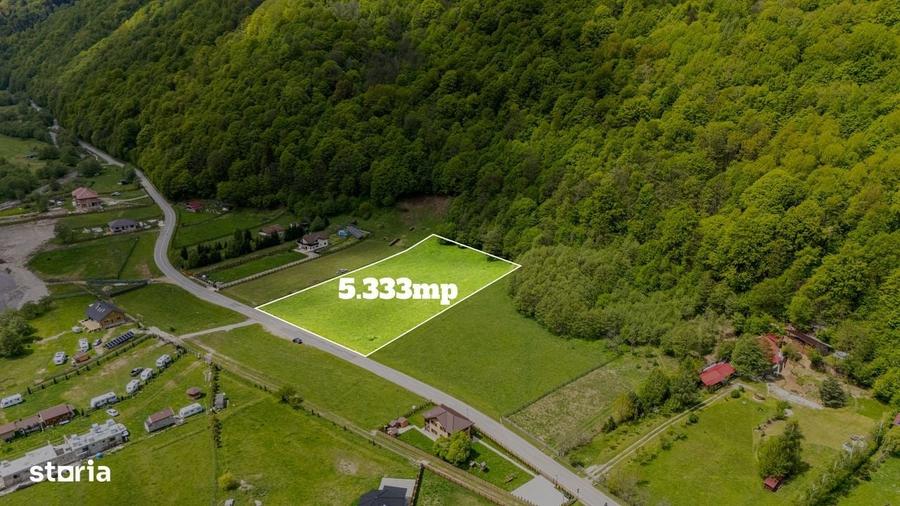 Teren intravilan Plaiul Foii -5.333 mp -acces direct din asfalt - 1