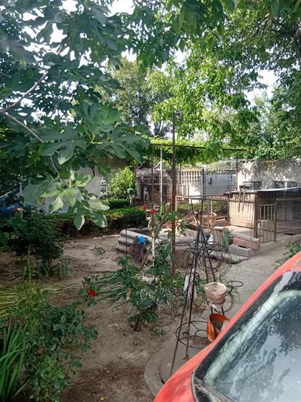 Casă cu 8 camere cu Teren 971 Mp în Apollo