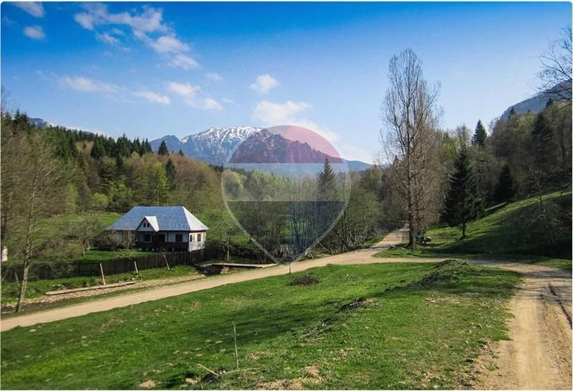 Teren de 6000 mp, în Dălghiu