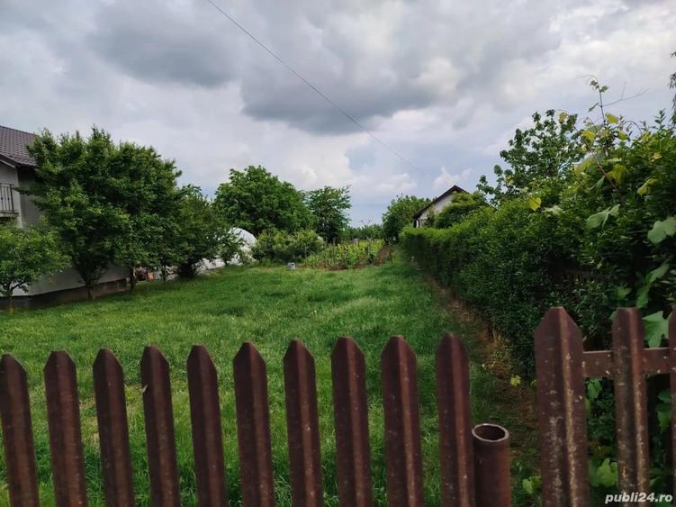 Teren de 10061 mp, în Vânători