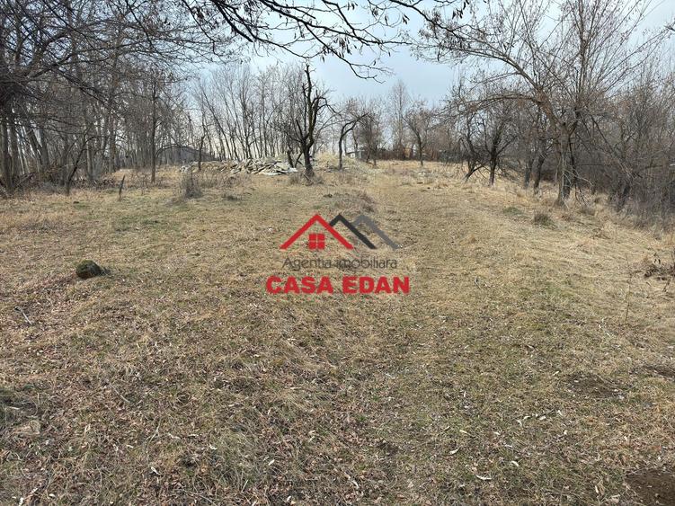 Teren Construcții intravilan de 3074 mp, în Cornu de Jos (Cornu)