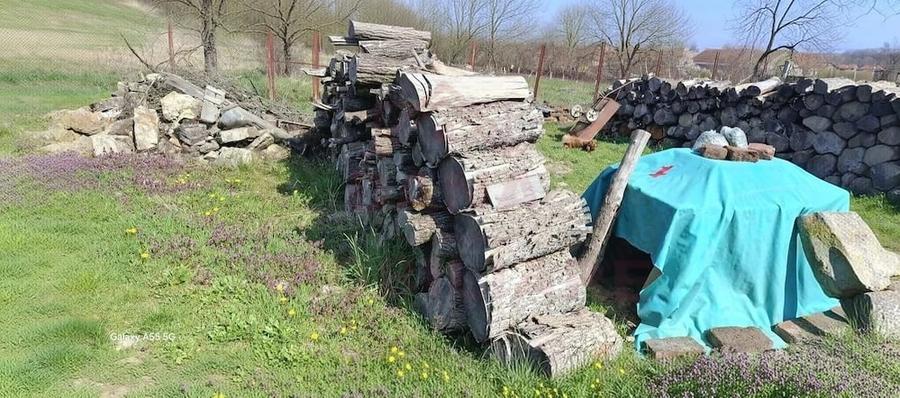 Casă cu 3 camere cu Teren 4636 Mp în Gherteniș