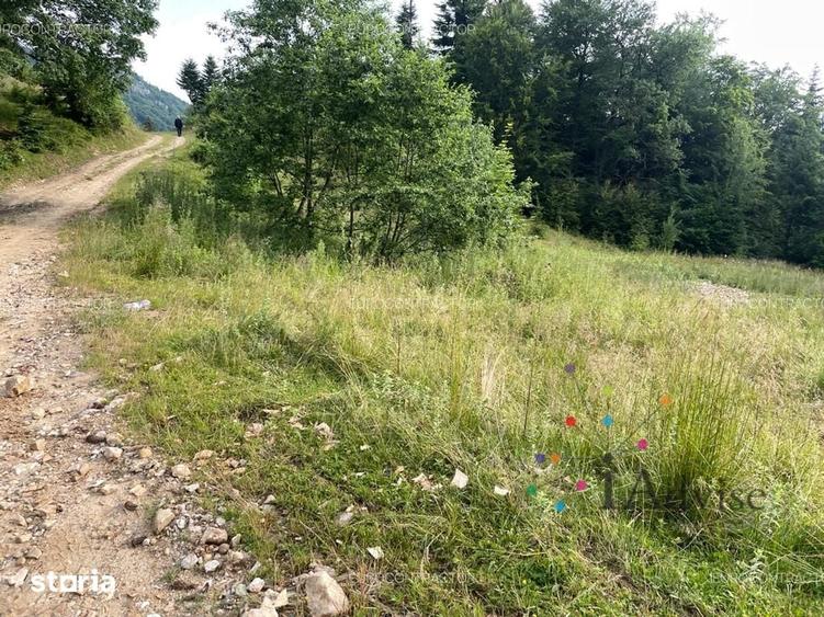 Teren de 13000 mp, în Râșnov