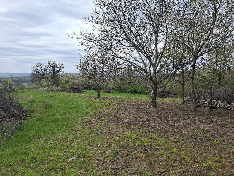 Teren de 6310 mp, în Curături