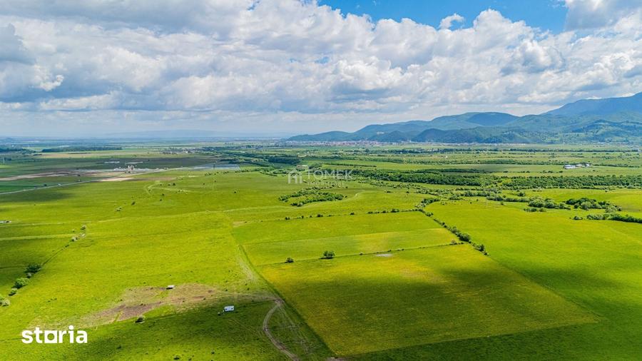 Teren de 5800 mp, în Central