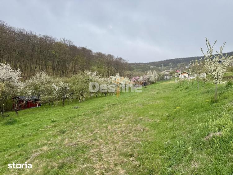 Teren de 950 mp, în Central