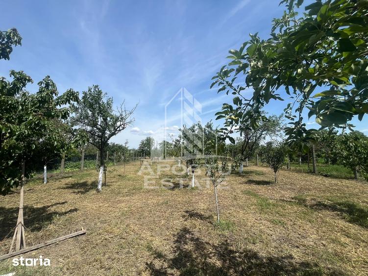 Casă cu 3 camere cu Teren 1400 Mp în Secusigiu